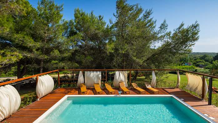 Spacious family villa with pool in Pula, 4