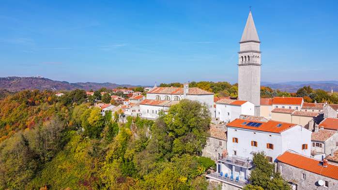 Appartamenti a Pićan con piscina e splendida vista, 19