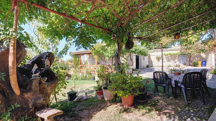 Beautiful rural oasis with apartments in quiet location in Istra, 32