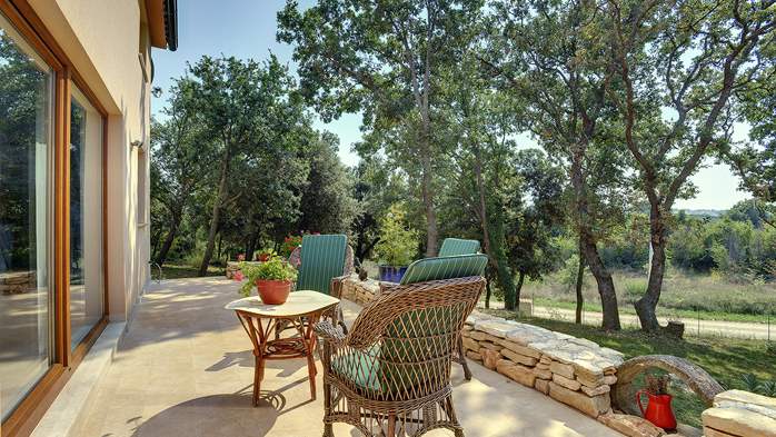 Villa with pool in Ližnjan, barbecue, terrace, SAT-TV, free Wi-Fi, 7