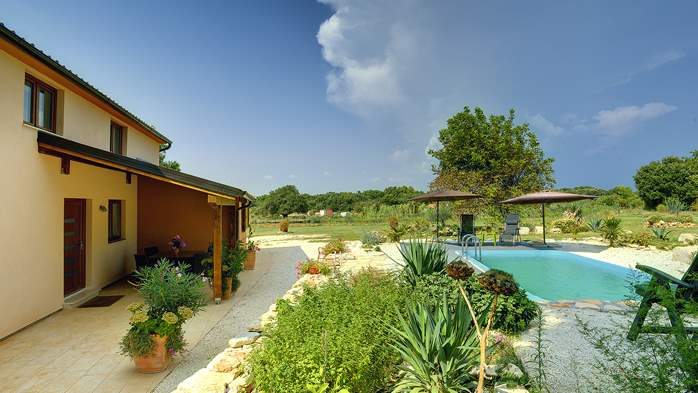 Villa with pool in Ližnjan, barbecue, terrace, SAT-TV, free Wi-Fi, 1