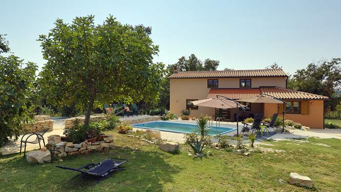 Villa with pool in Ližnjan, barbecue, terrace, SAT-TV, free Wi-Fi, 2