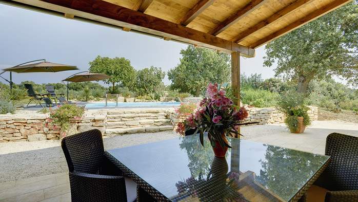 Villa with pool in Ližnjan, barbecue, terrace, SAT-TV, free Wi-Fi, 6
